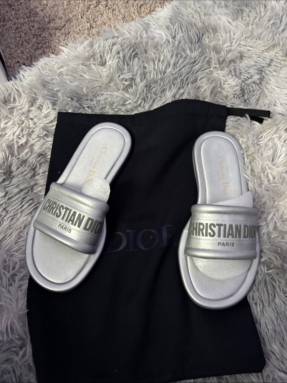 Christian Dior Silver Slides